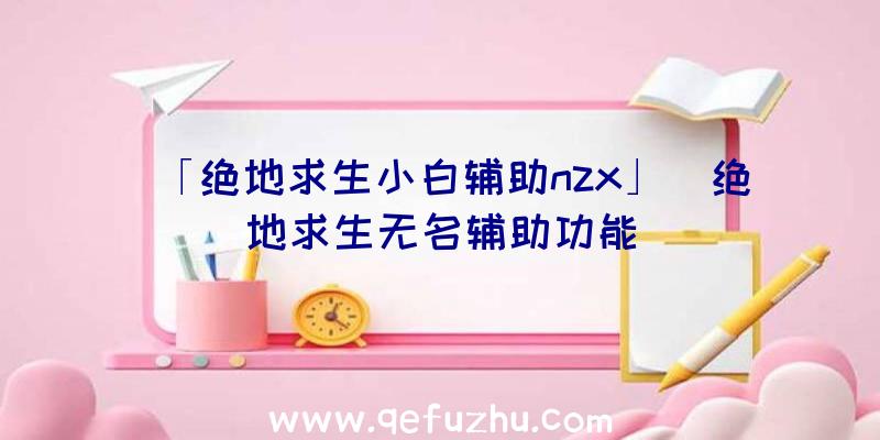 「绝地求生小白辅助nzx」|绝地求生无名辅助功能